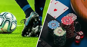 Explore the World of Sports Betting with Betwinner 14